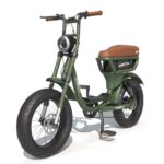 92650540-v-lo-lectrique-biplace-cargo-garrett-miller-city-vert-batt-simple-pneus-route_1.jpg