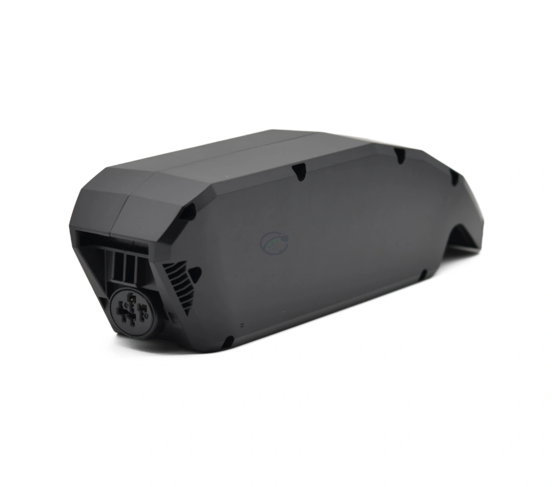 Batterie-Bosch-PowerPack-540-Performance-4.webp