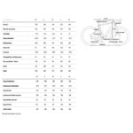 Cube-Nuroad-Hybrid-C-62-SLX-400X-compressed.jpg