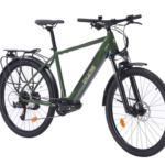 ECOX274550-VTC-electrique-Dune-Danakil-M-460-Wh-Vert.png
