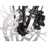 Electra-Townie-Commute-Go-5i.jpg