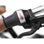 Electra-Townie-Commute-Go-5i.jpg