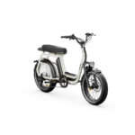 Elwing-Ritmic-Duo-velo-electrique-cargo-2.webp
