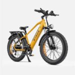 Engwe-E26-Velo-Electrique-Fat-Bike-5-compressed.jpg