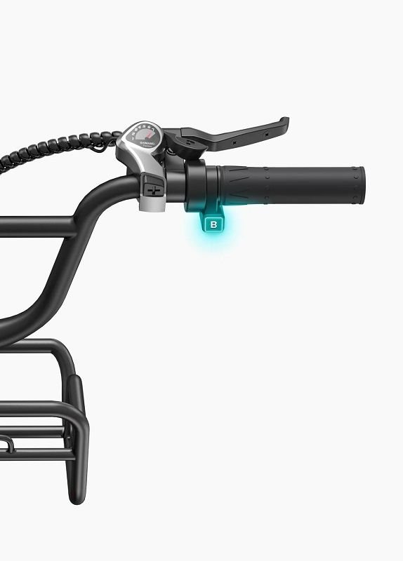 Fat-Bike-Electrique-Engwe-L20-Boost-4-compressed.jpg