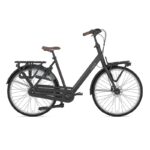 Velo-Gazelle-Bloom-compressed.jpg