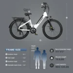 Velo-electrique-Urbain-SAMEBIKE-RS-A01-Plus.jpg