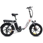 fafrees-f20-250w-20-folding-electric-bike-576wh-city-e-bike-36v-16ah-battery-2.jpg