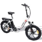 fafrees-f20-250w-20-folding-electric-bike-576wh-city-e-bike-36v-16ah-battery-2.jpg