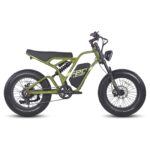 fafrees-f20-ultra-750w-20-fat-bike-1200wh-e-mountain-bike-48v-25ah-battery-e-mtb-3.jpg
