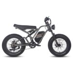 fafrees-f20-ultra-750w-20-fat-bike-1200wh-e-mountain-bike-48v-25ah-battery-e-mtb-3.jpg