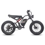 fafrees-f20-ultra-750w-20-fat-bike-1200wh-e-mountain-bike-48v-25ah-battery-e-mtb-3.jpg