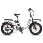 fafrees-f20-x-max-750w-20-fat-bike-1440wh-folding-electric-bike-with-48v-30ah-battery-1.jpg