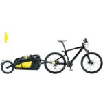 remorque-monoroue-topeak-alu-journey-trailer-noir-avec-sac-tanche-drybag-66-litres-125kg-drapeau-signaliseur-48kg-sans.jpg